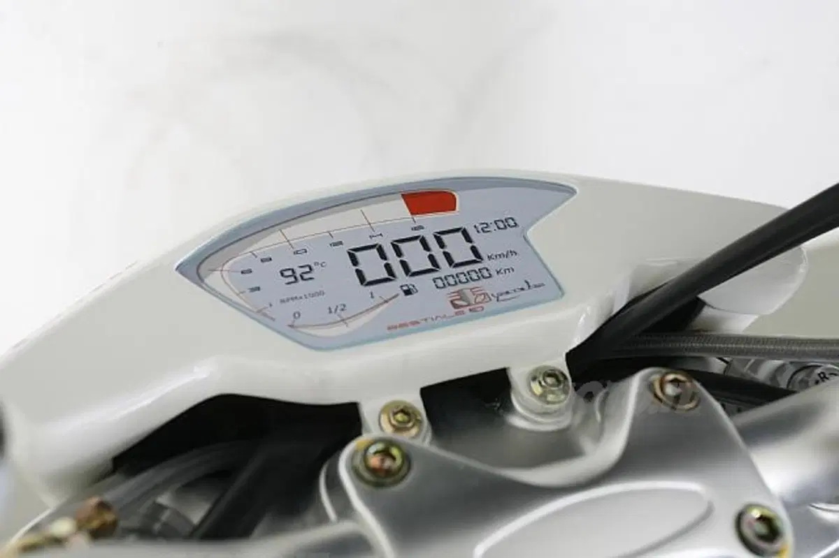 Special MV Agusta Bestiale (7)