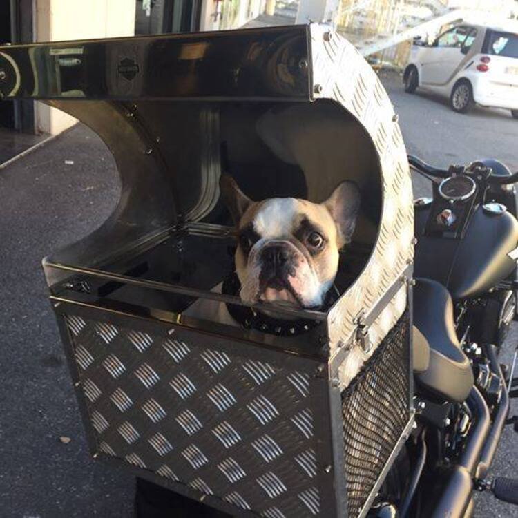 Harley-Davidson® DOG BOX , Trasportino x cane