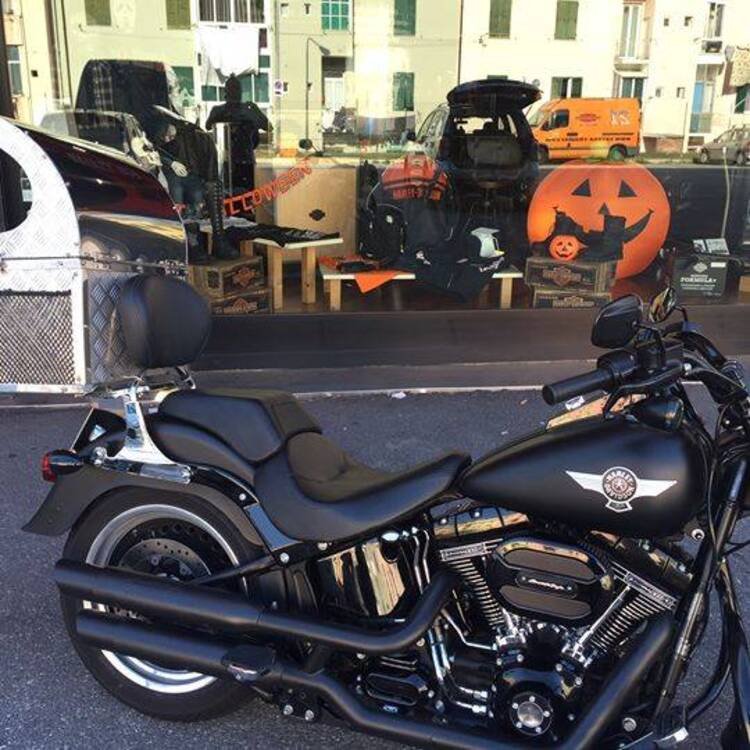 Harley-Davidson® DOG BOX , Trasportino x cane (4)
