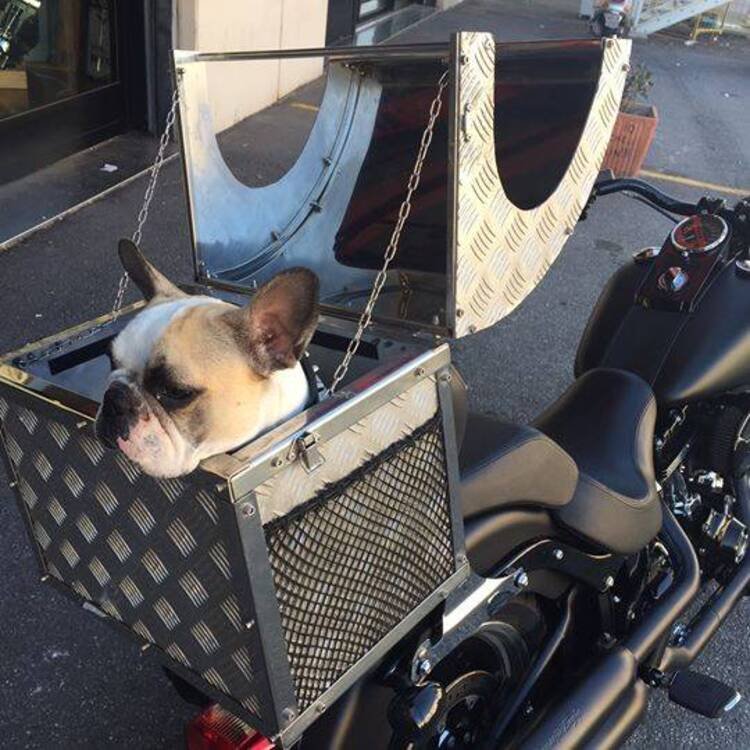 Harley-Davidson® DOG BOX , Trasportino x cane (5)