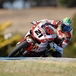 Troy Bayliss in Superpole