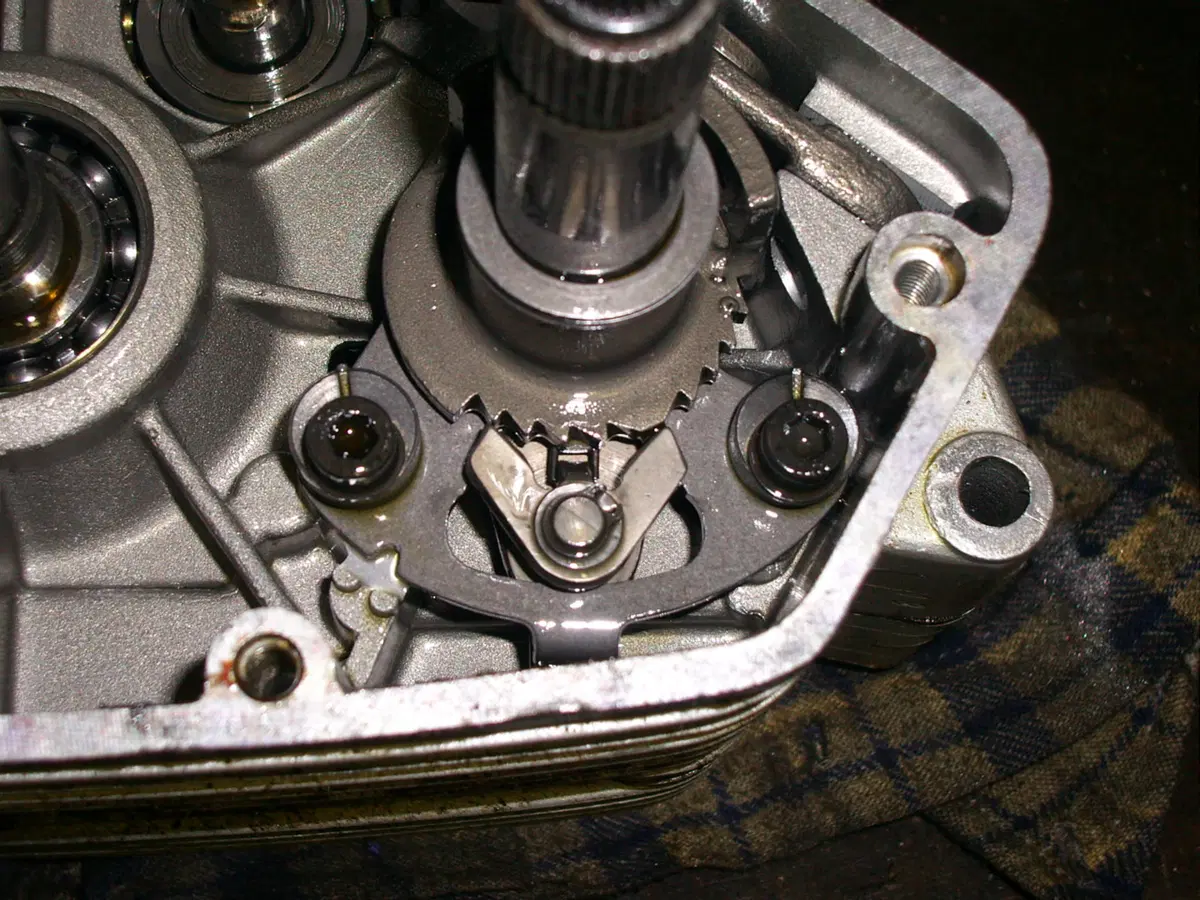 Restaurando, puntata 19: SWM Six Days ES 125 1974 (36)