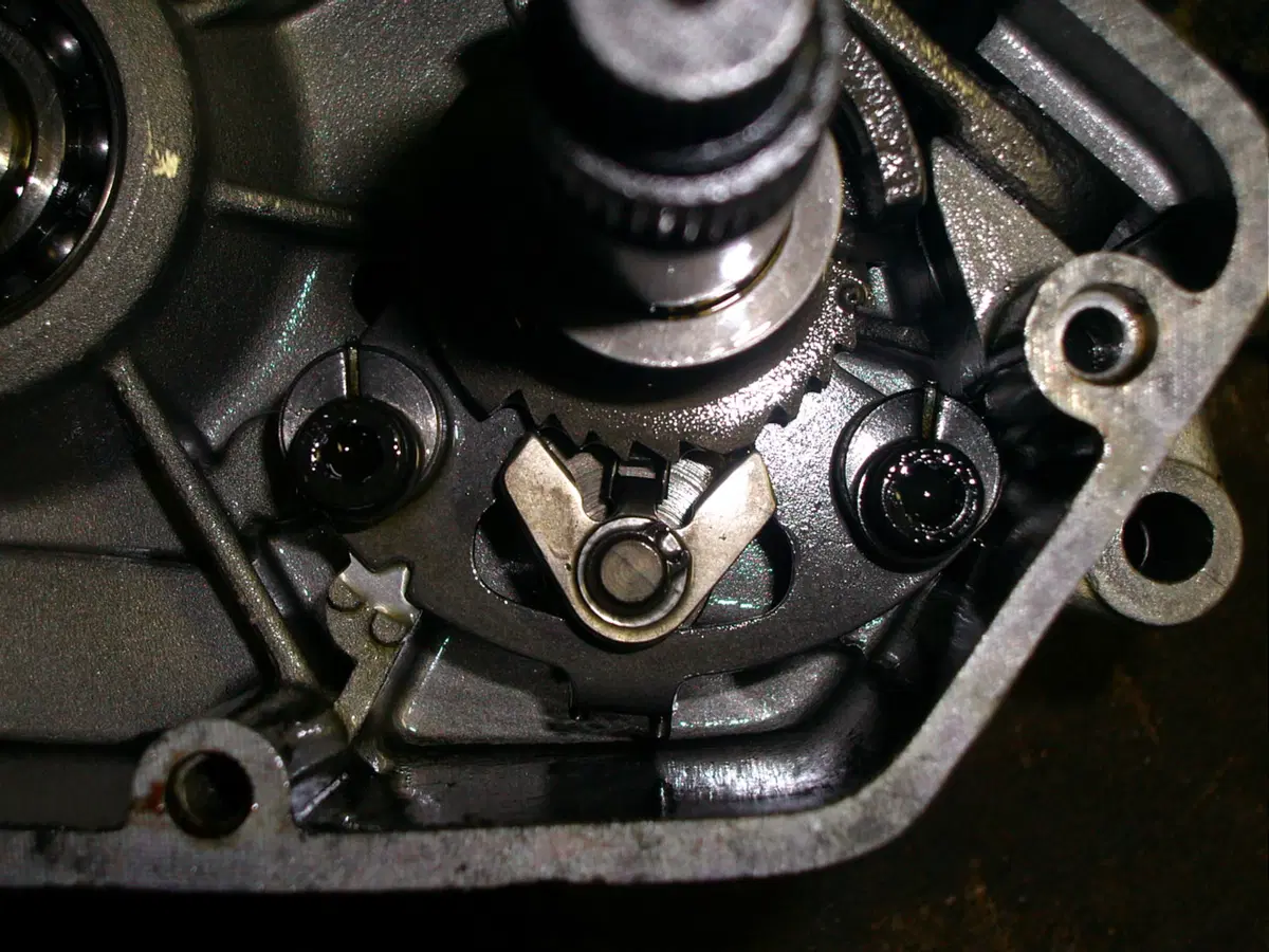 Restaurando, puntata 19: SWM Six Days ES 125 1974 (37)