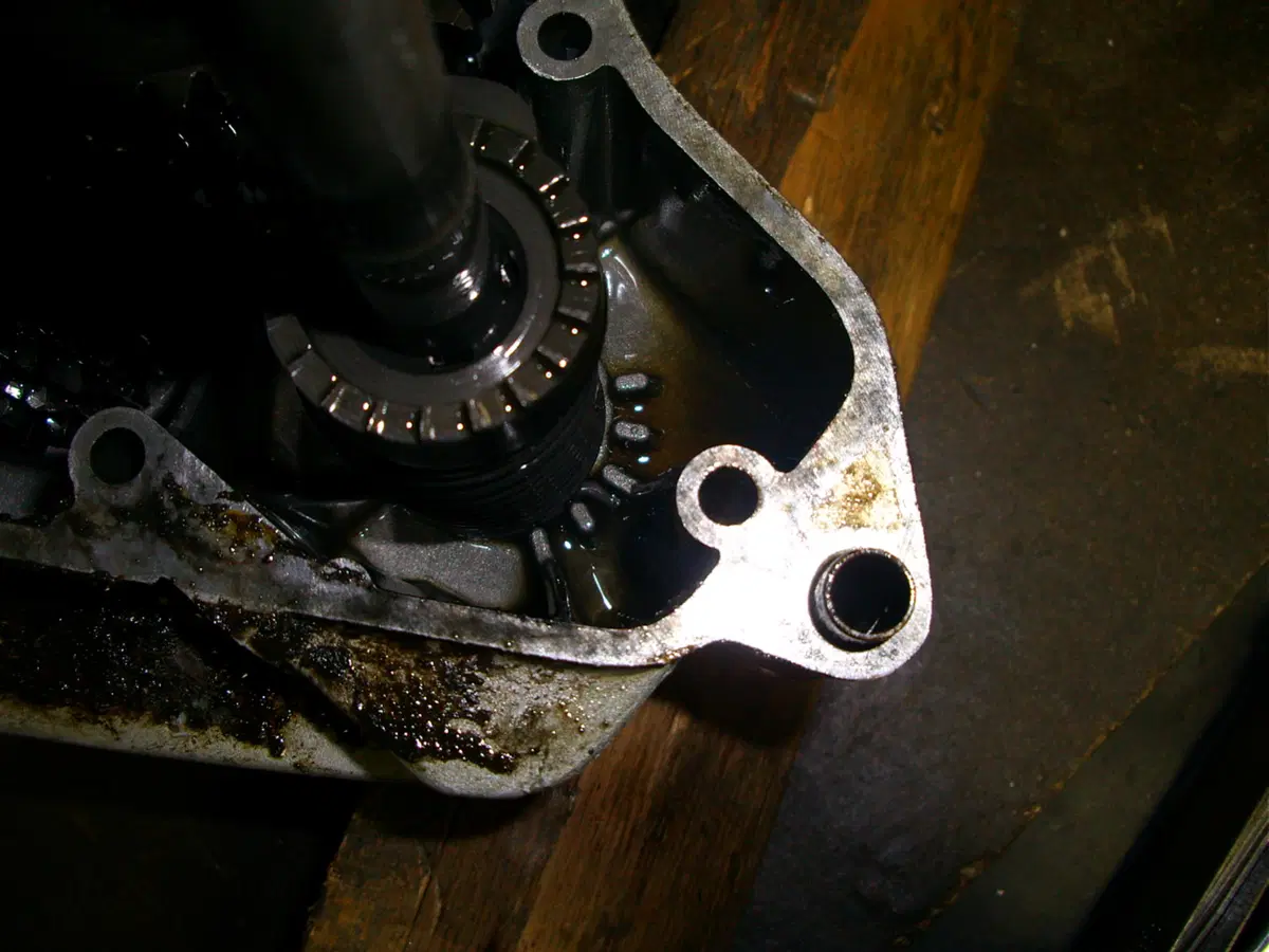 Restaurando, puntata 19: SWM Six Days ES 125 1974 (38)