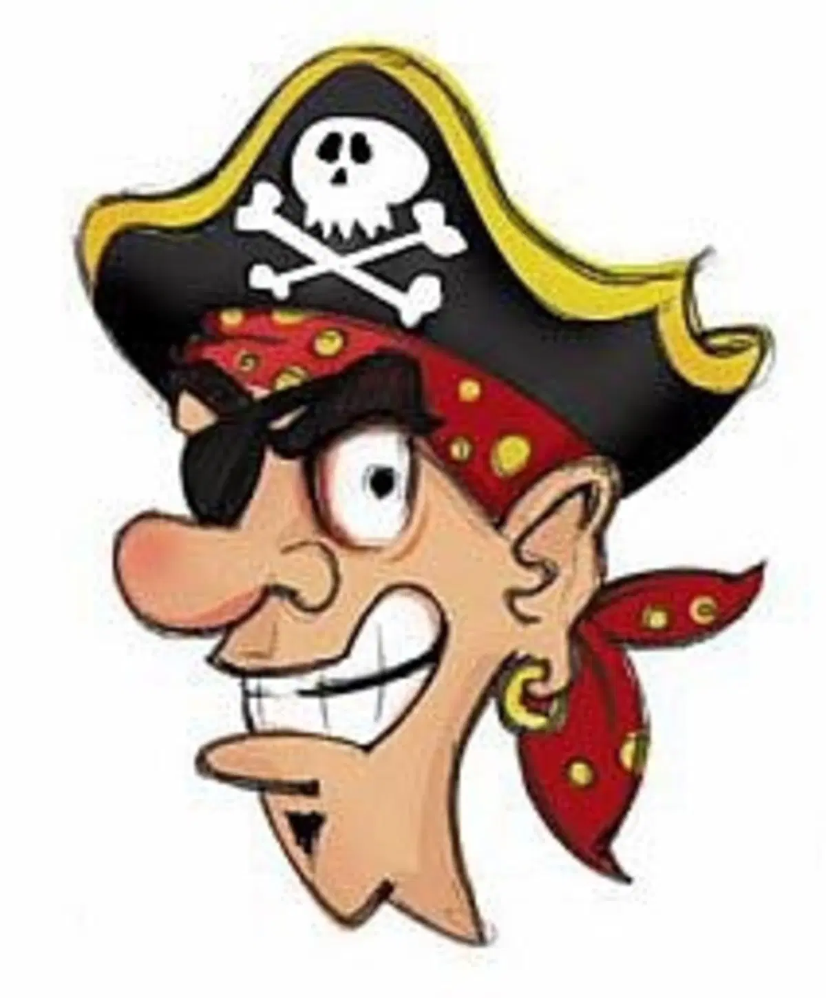 Cresce la pirateria stradale (2)