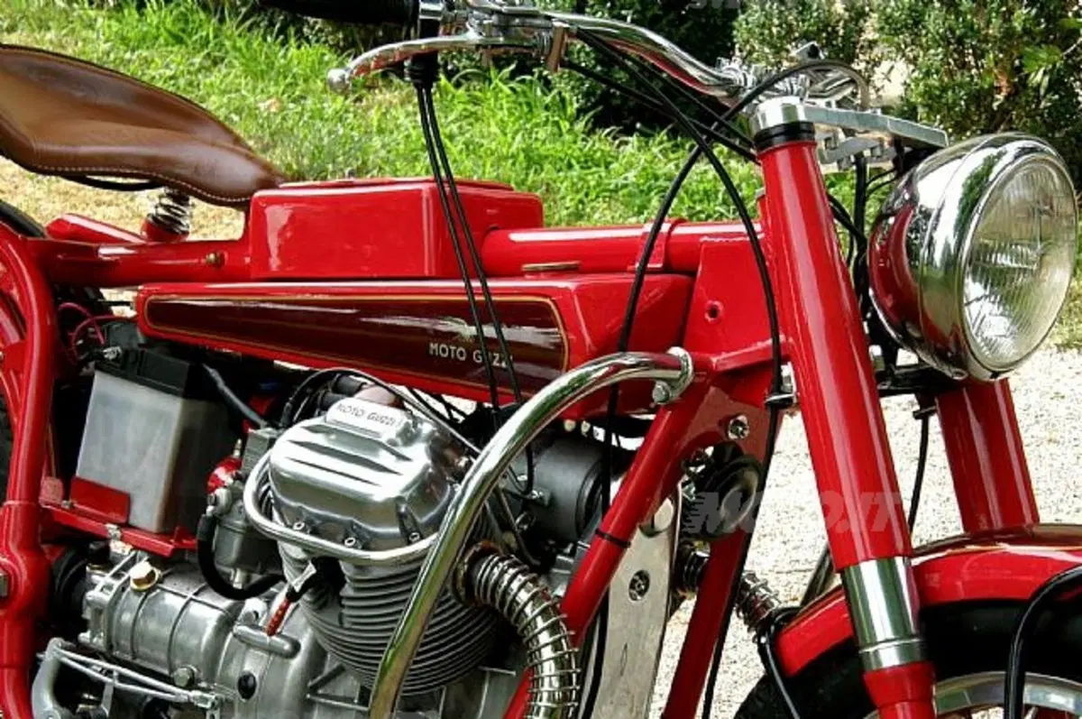 Special Sport 7
