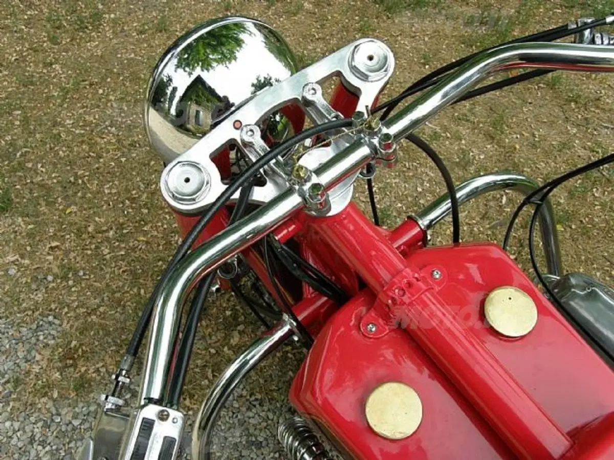 Special Sport 7 (7)