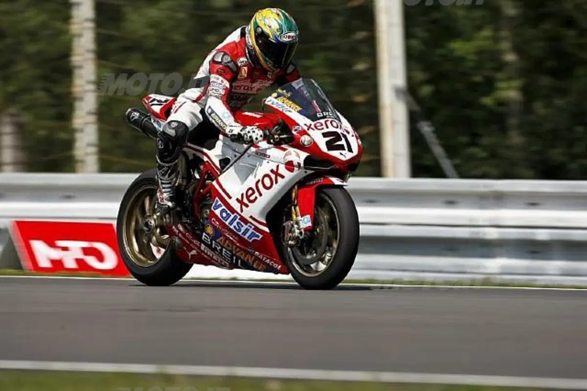 Il regno di Bayliss (2)