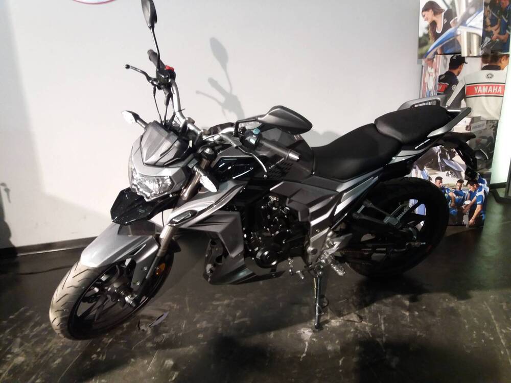 Senke Naked 125 Sport SK (2017 - 20) (2)