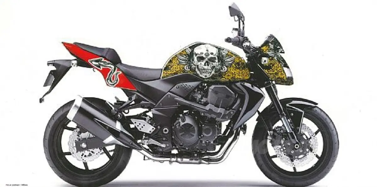 Z750 all'asta per i bambini del Nepal (2)
