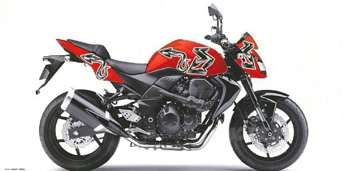 Z750 all'asta per i bambini del Nepal (5)