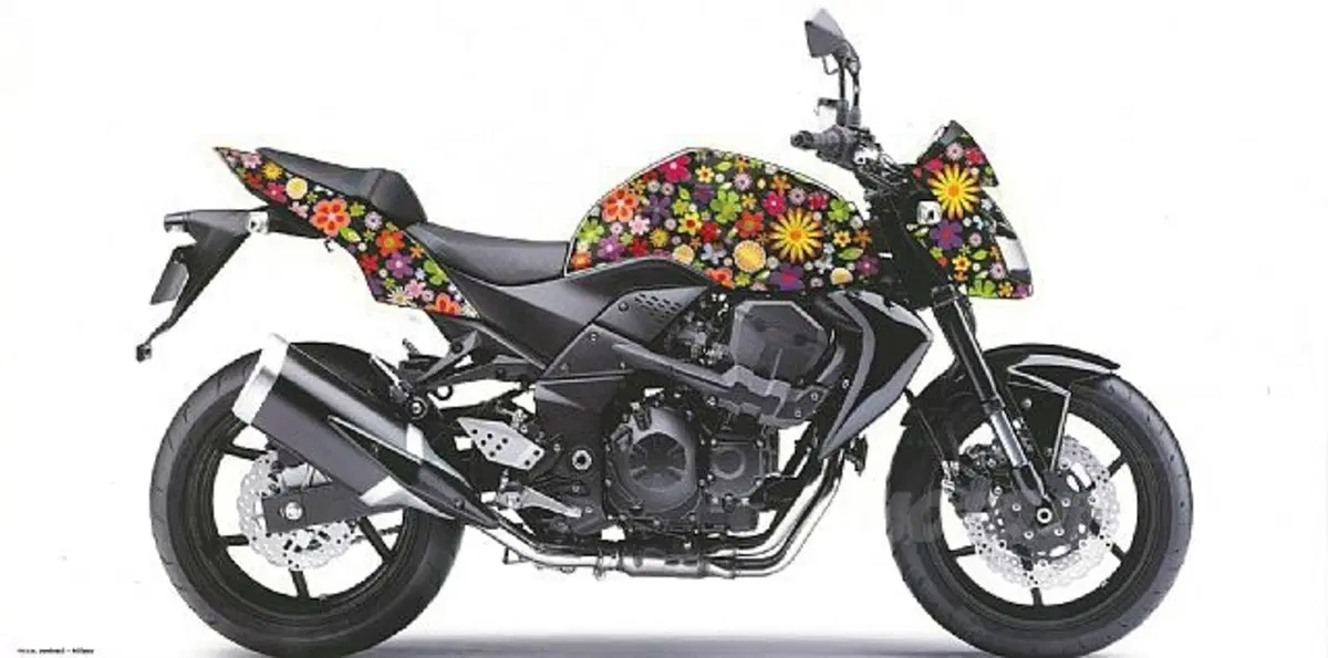 Z750 all'asta per i bambini del Nepal (6)