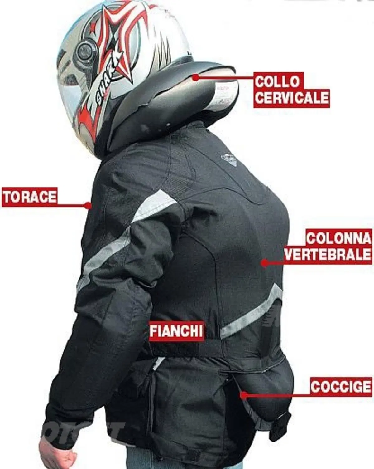 Airbag. Protegge davvero? (6)