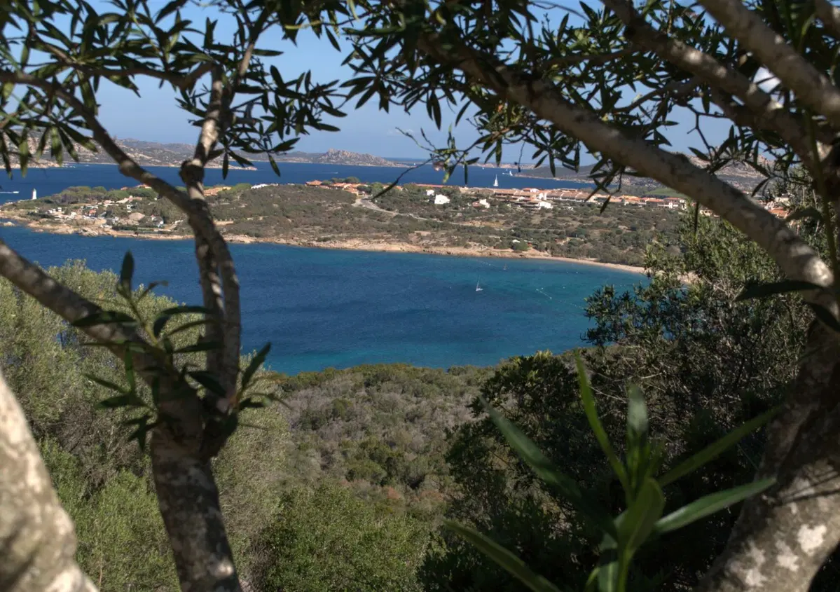 Queens’ Cavalcade 2018. Is cinquso dies de sa Sardinia! (13)