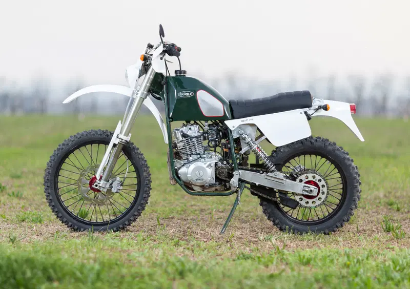 Borile MdV 300 MdV 300 (2018 - 19)