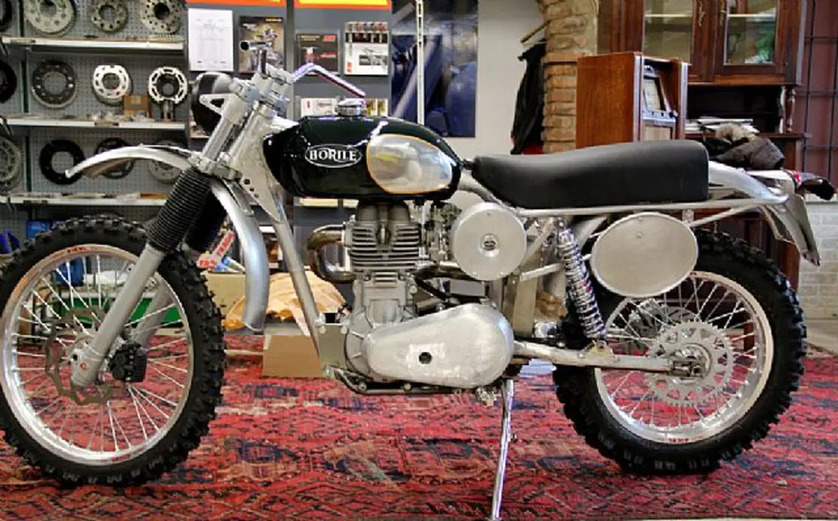 Borile B 500 B 500 Ricki (2018 - 19) (3)