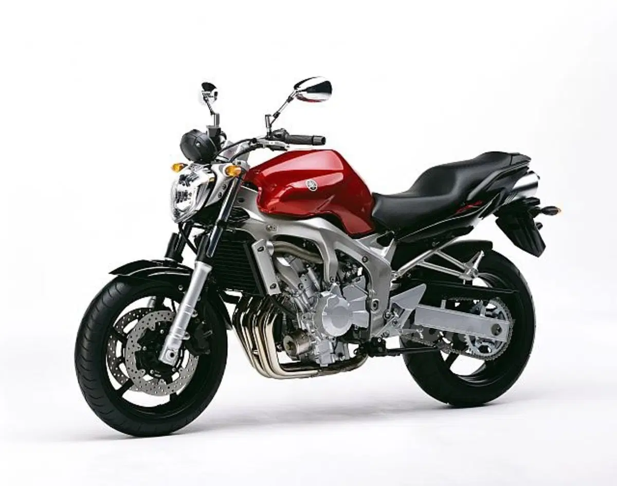 Guida a Yamaha FZ6/Fazer (2)