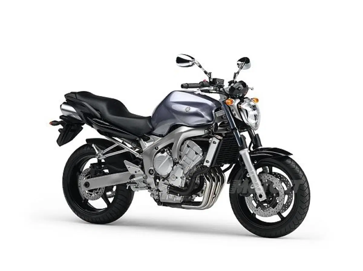 Guida a Yamaha FZ6/Fazer (3)