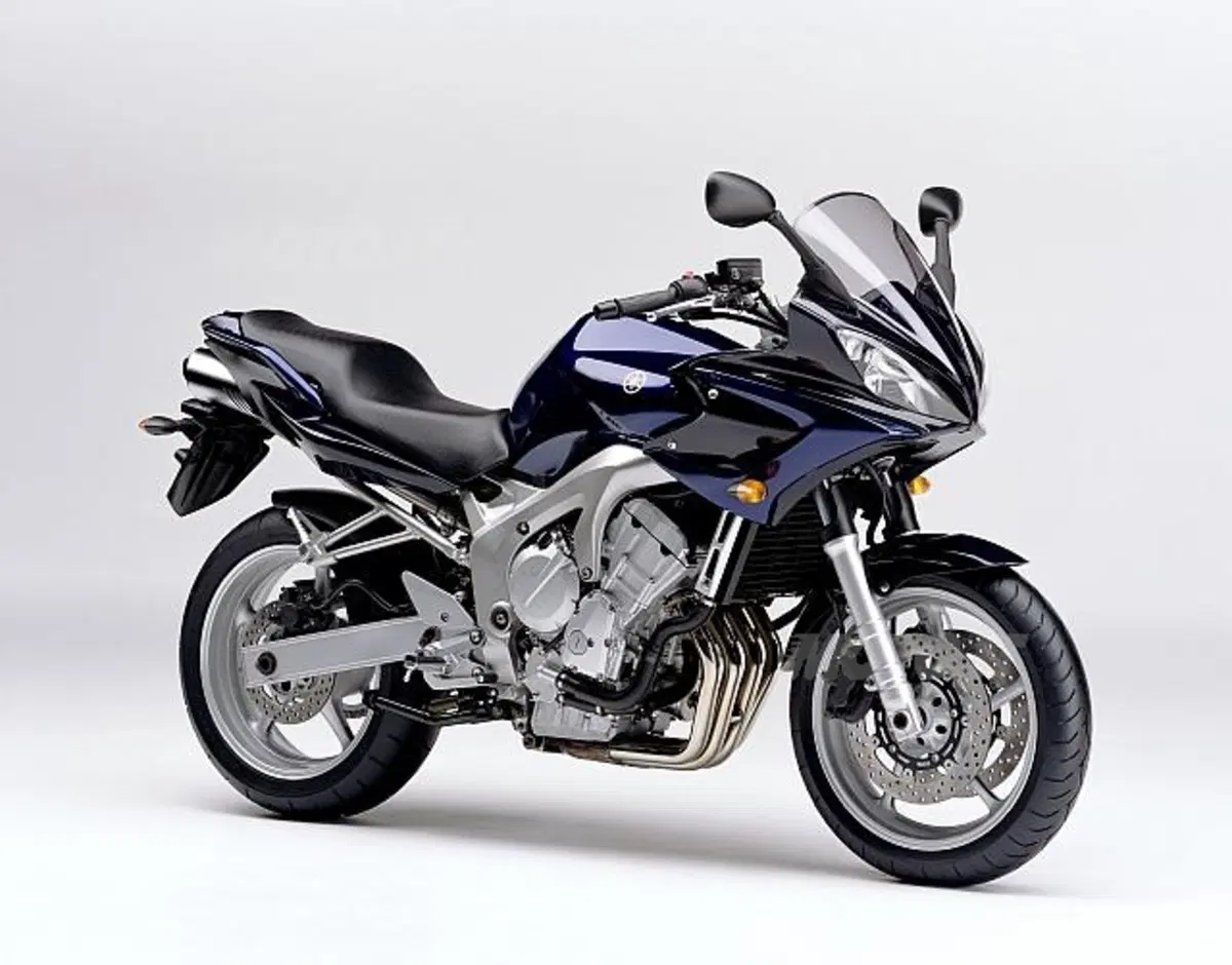 Guida a Yamaha FZ6/Fazer (4)