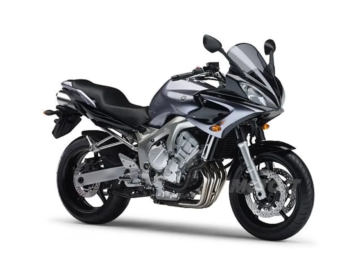 Guida a Yamaha FZ6/Fazer (5)