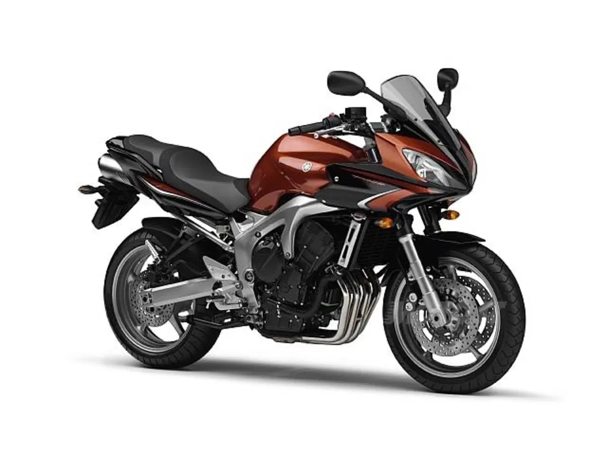 Guida a Yamaha FZ6/Fazer (10)