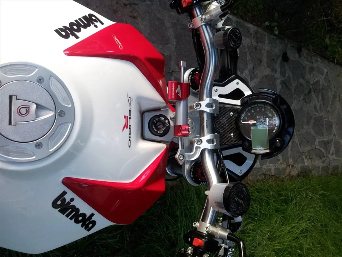 Bimota DB6 Delirio  (6)
