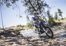 Dakar 2016. Live Day 12: vince Rodrigues (Yamaha)