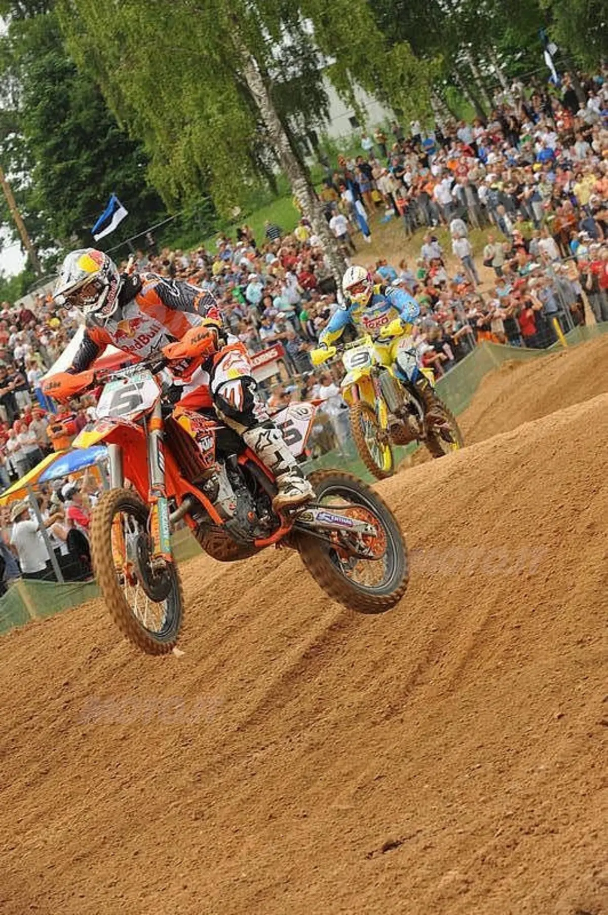 MX. Incredibile?... no: Cairoli! (2)