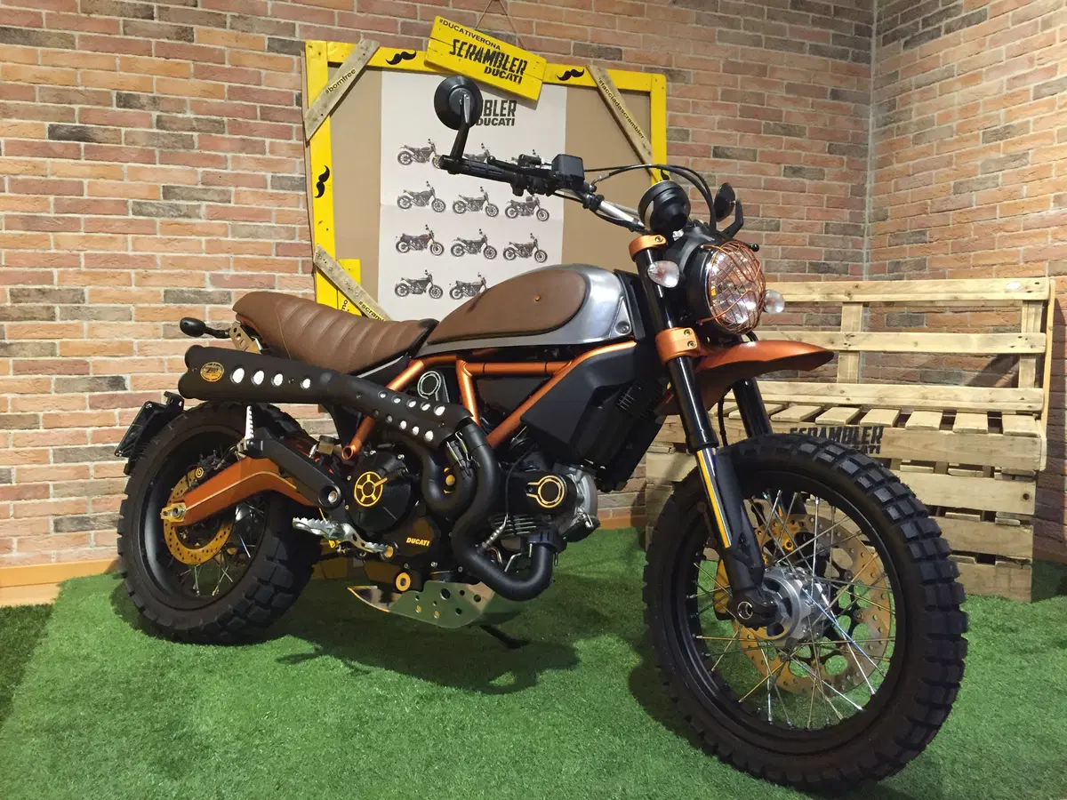 Ducati Scrambler El RustEgo  (6)