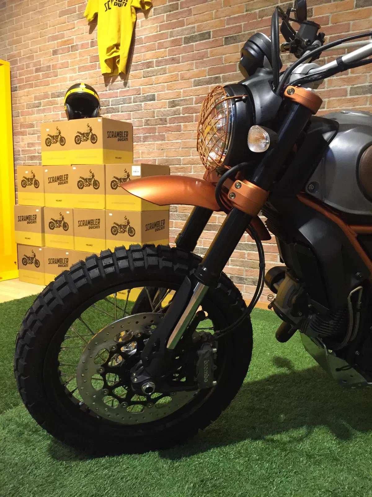 Ducati Scrambler El RustEgo  (12)