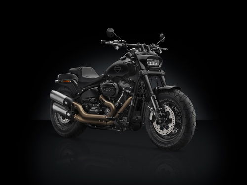 Rizoma per Harley-Davidson Softail (2)