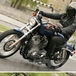 Nuove Harley-Davidson XL Sportster