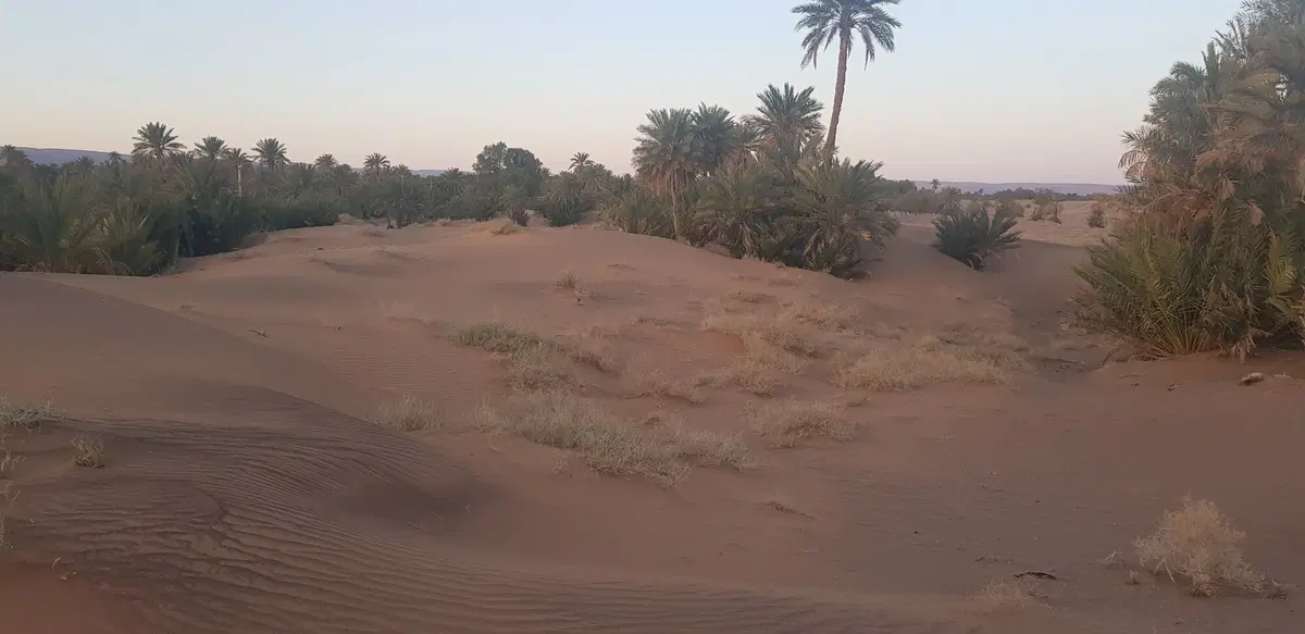 Dall'Atlante alla vecchia pista della Parigi-Dakar (34)