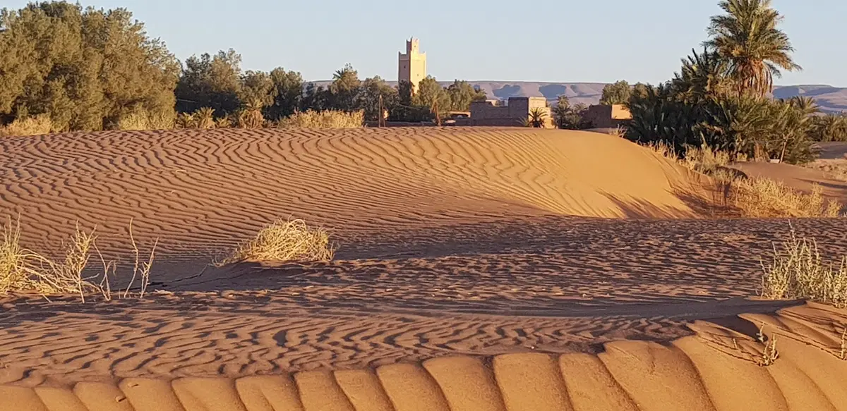 Dall'Atlante alla vecchia pista della Parigi-Dakar (44)