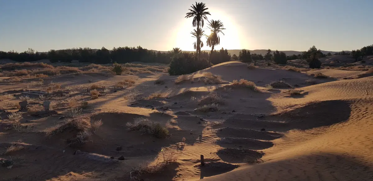 Dall'Atlante alla vecchia pista della Parigi-Dakar (47)