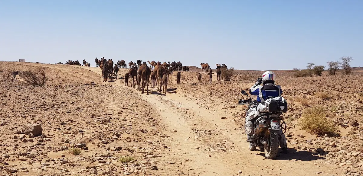Dall'Atlante alla vecchia pista della Parigi-Dakar (69)