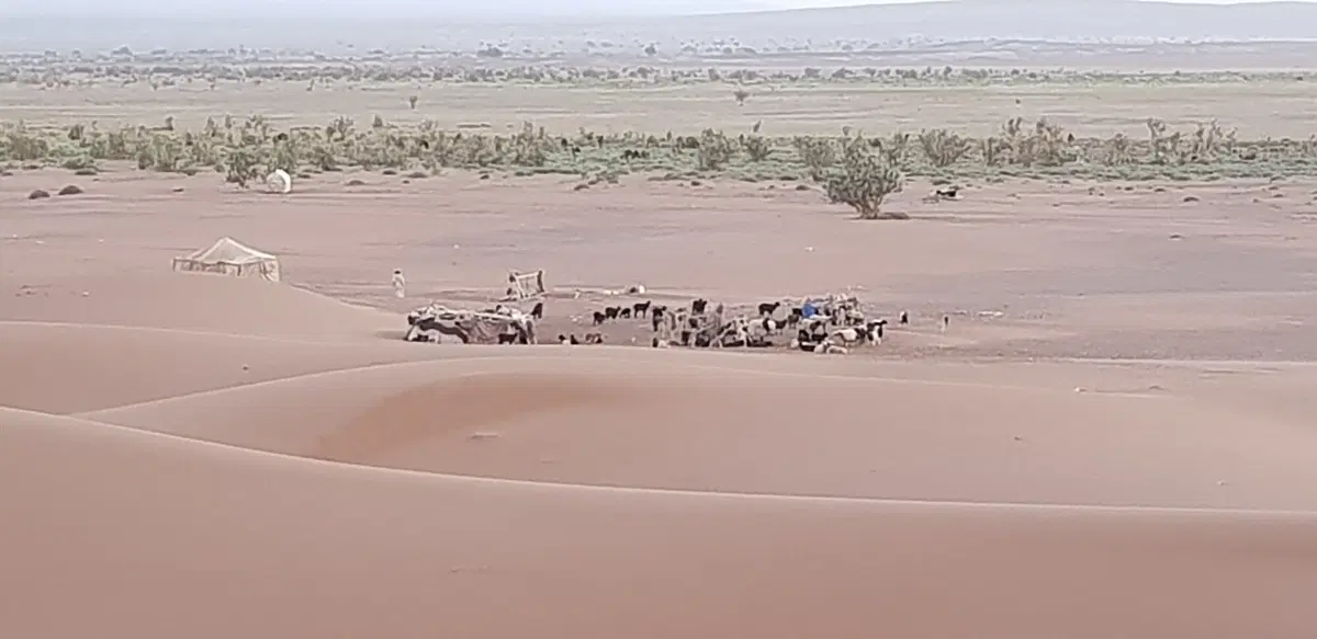 Dall'Atlante alla vecchia pista della Parigi-Dakar (80)