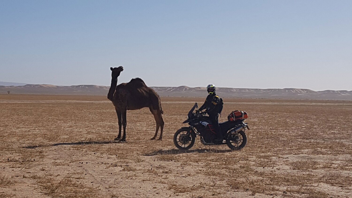 Dall'Atlante alla vecchia pista della Parigi-Dakar