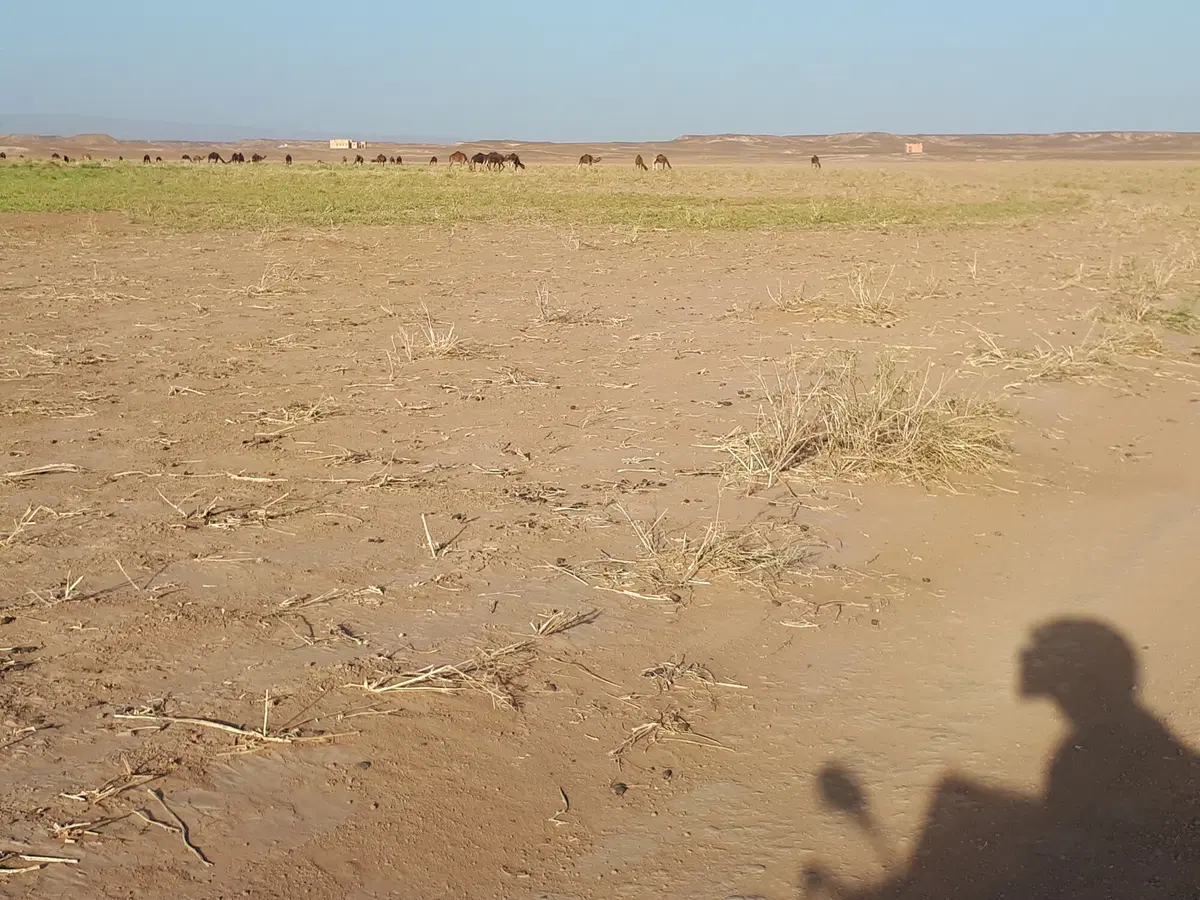 Dall'Atlante alla vecchia pista della Parigi-Dakar (122)