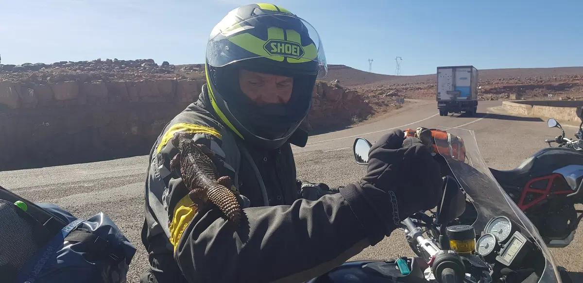 Dall'Atlante alla vecchia pista della Parigi-Dakar (144)