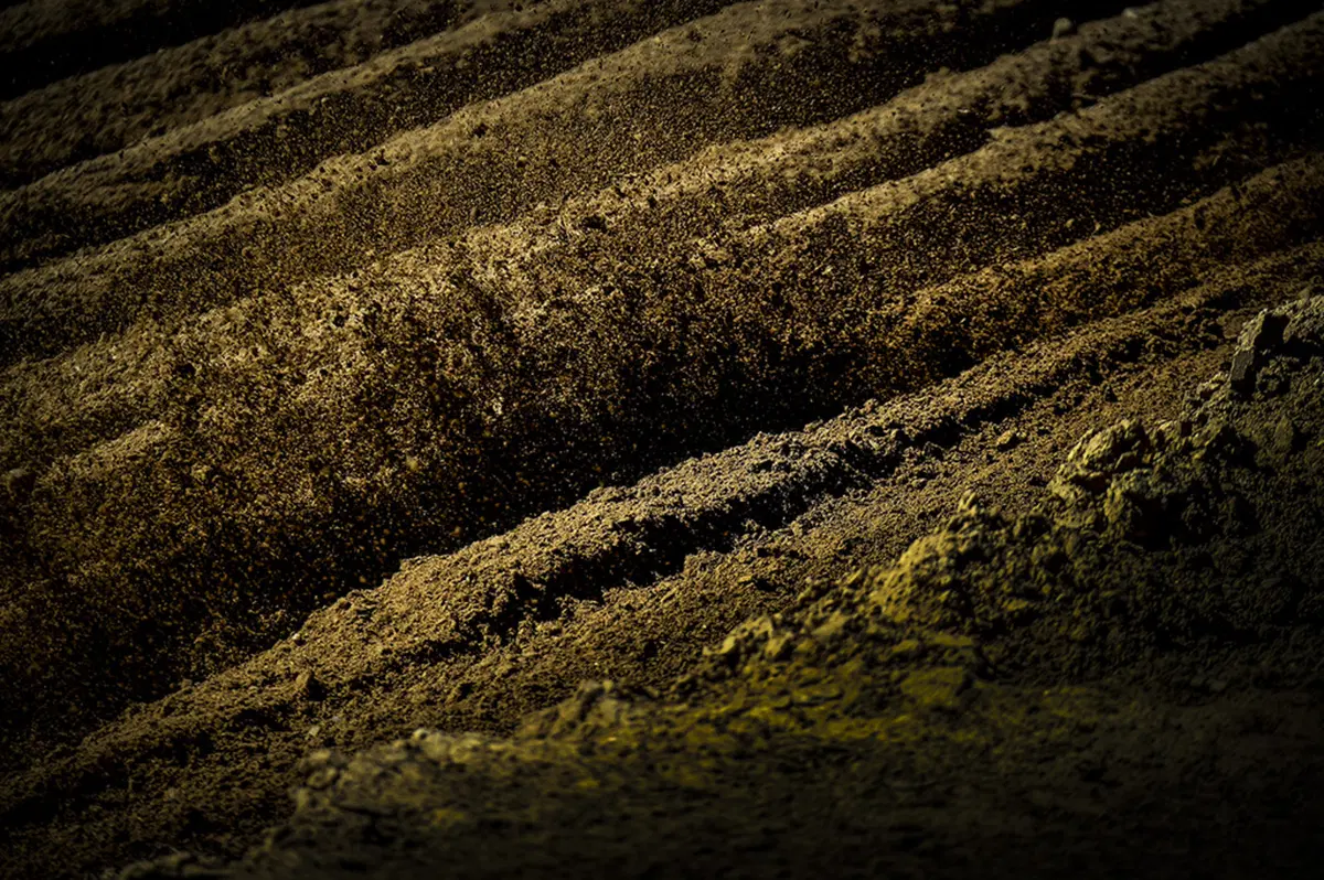 Gallery MXGP 2018. Il GP della Lettonia (16)