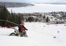 Il leone di San Marco ruggisce nel cross italiano e nell'enduro mondiale