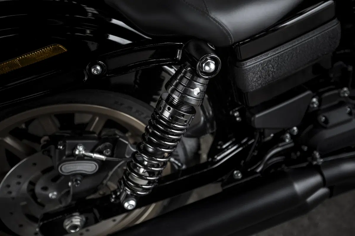 Harley-Davidson Low Rider S 2016 (7)