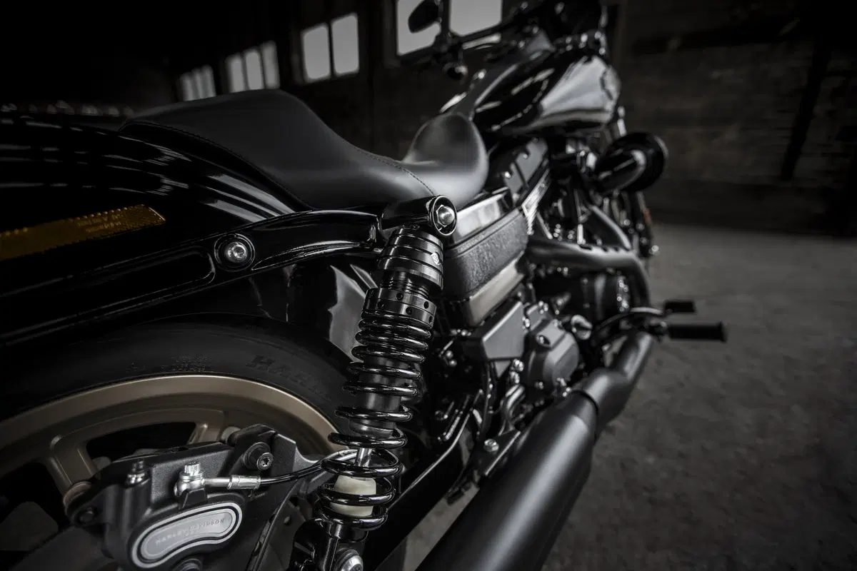 Harley-Davidson Low Rider S 2016 (8)