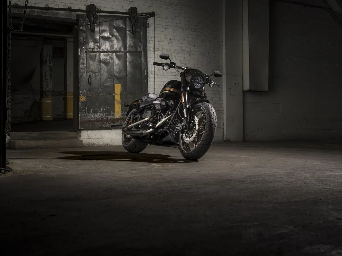 Harley-Davidson CVO Pro Street Breakout 2016 (2)