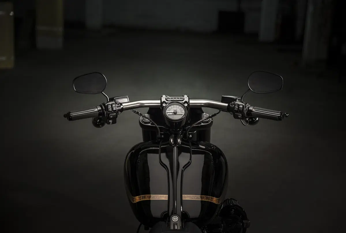 Harley-Davidson CVO Pro Street Breakout 2016 (5)
