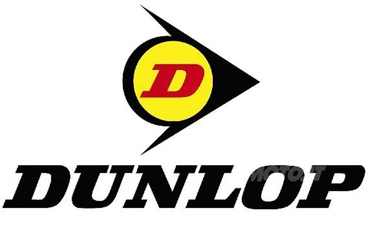 Pneumatici D407 per Harley-Davidson