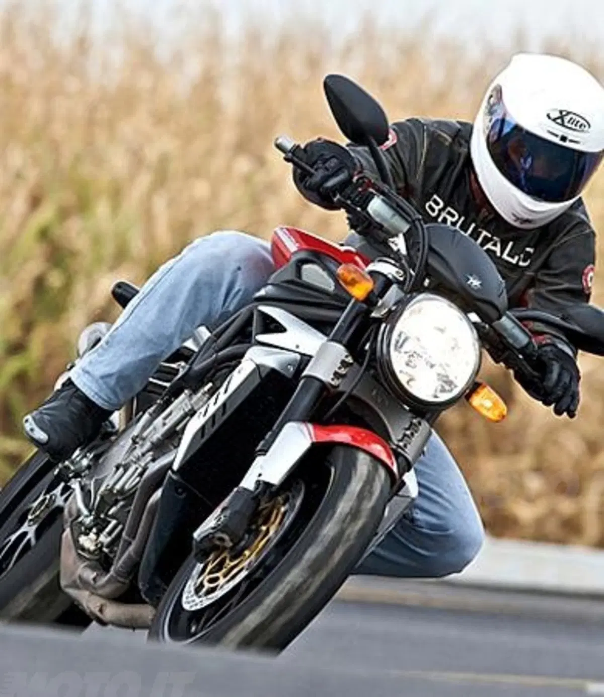 Brutale On Tour (3)