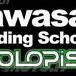 Kawasaki Riding School, scuola di pilotaggio ufficiale per la conoscenza e la sicurezza su due ruote