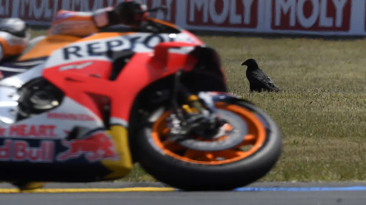 Gallery MotoGP. Il GP di Francia 2018 (27)